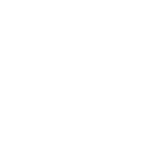 logo light