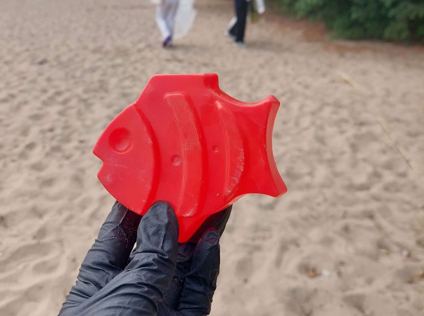 Beach Cleanup